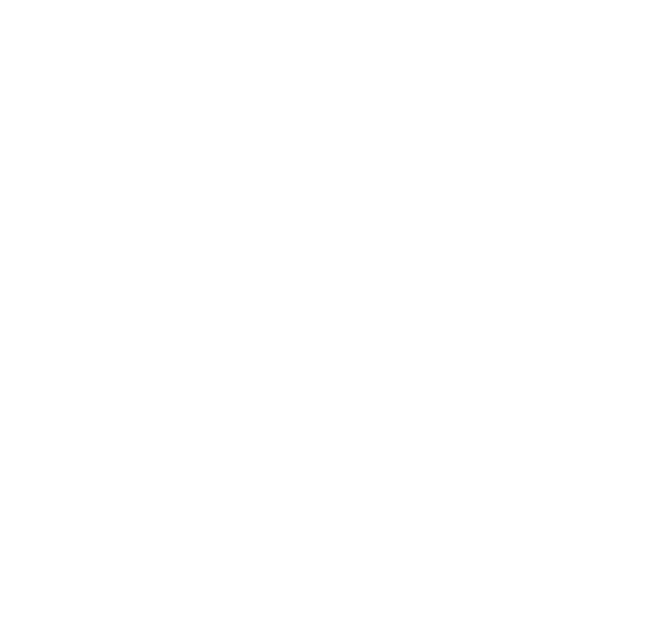 SiteSkyline Logo