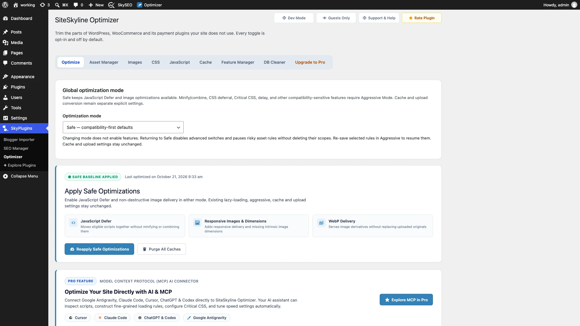 SOptimizer performance dashboard in WordPress