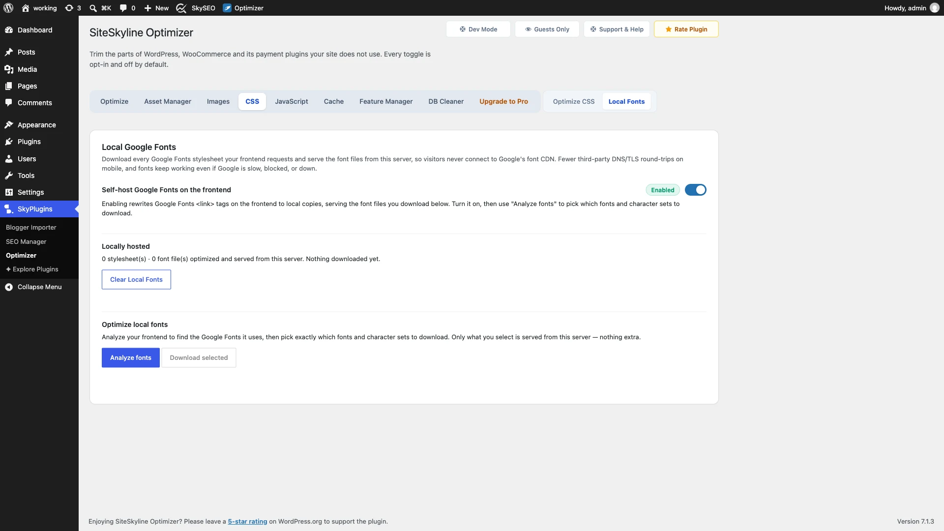 Enable Self-host Google Fonts on Frontend