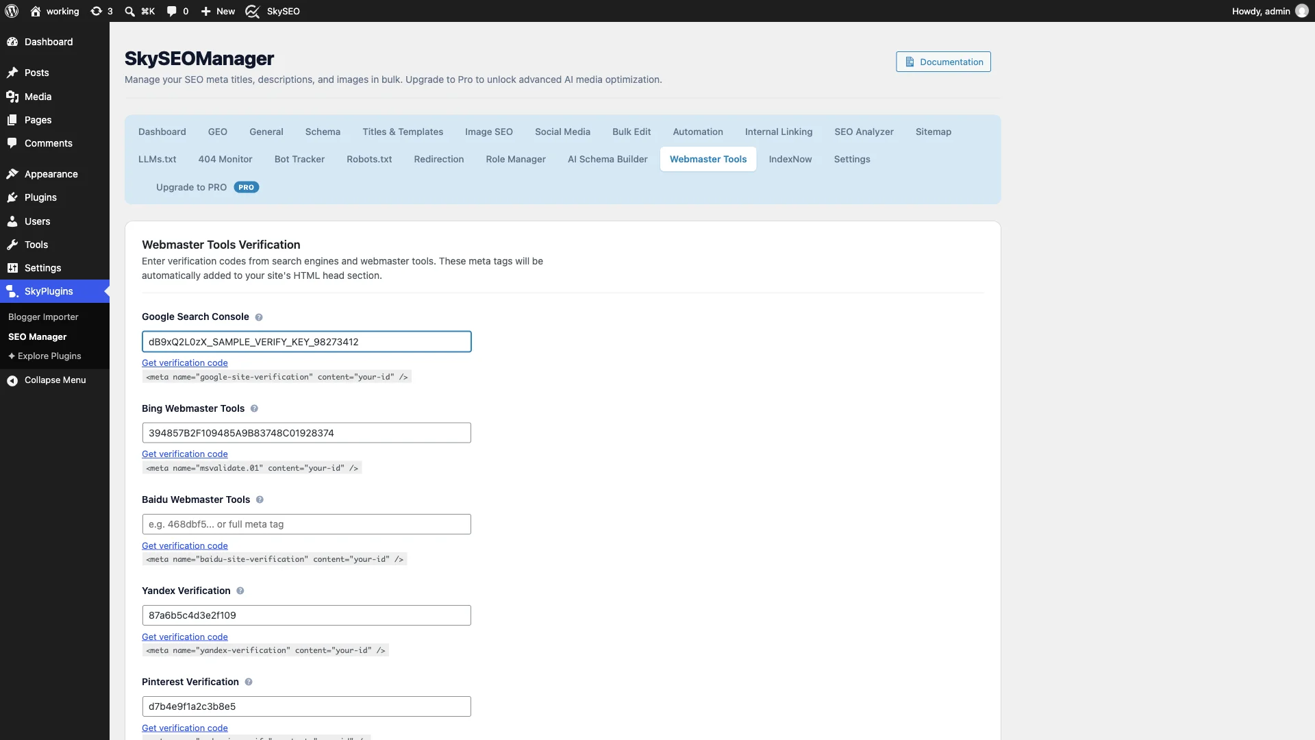 Entering Google Search Console verification code in Sky SEO Manager
