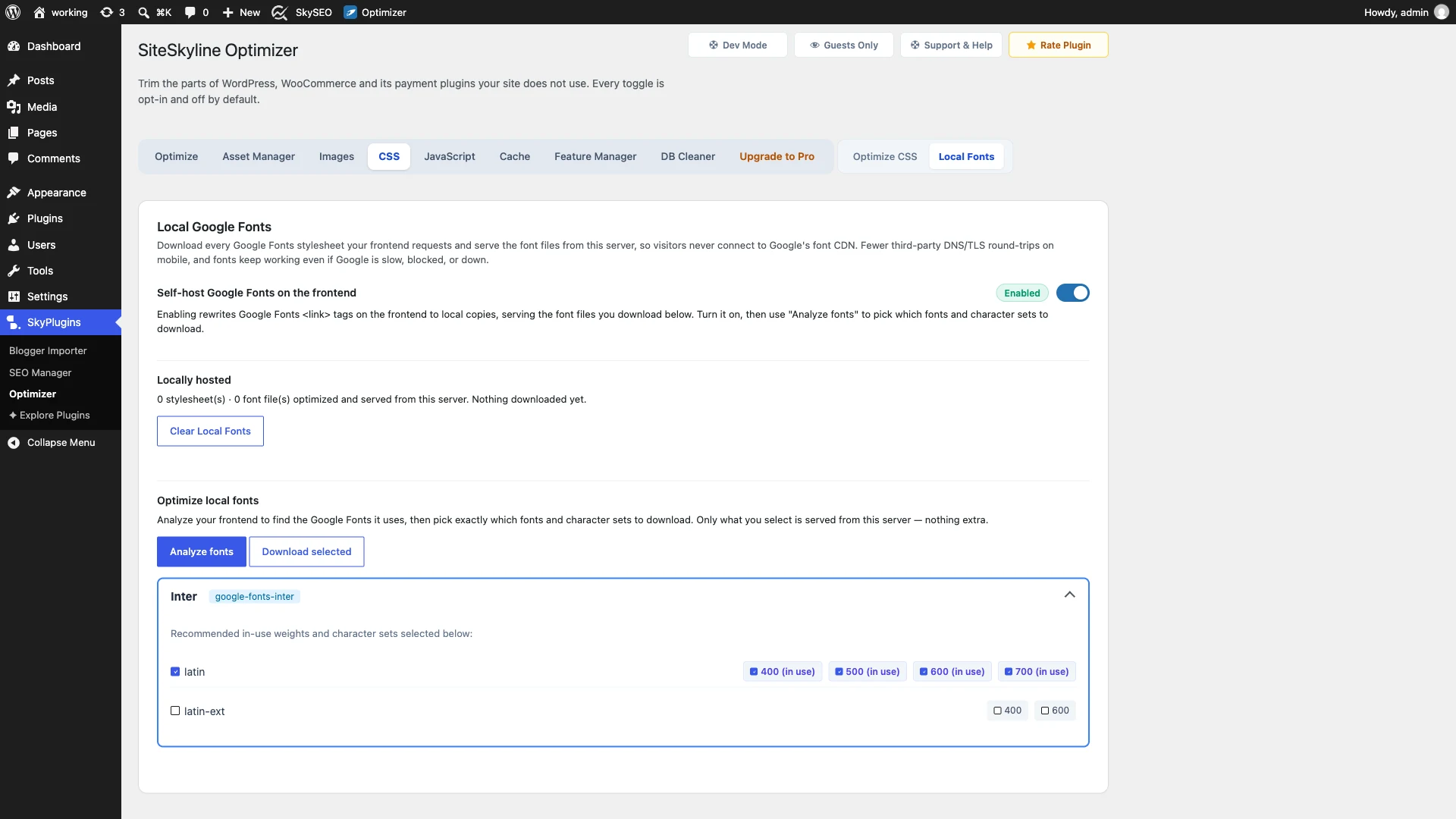 Analyze Frontend Fonts in SiteSkyline Optimizer