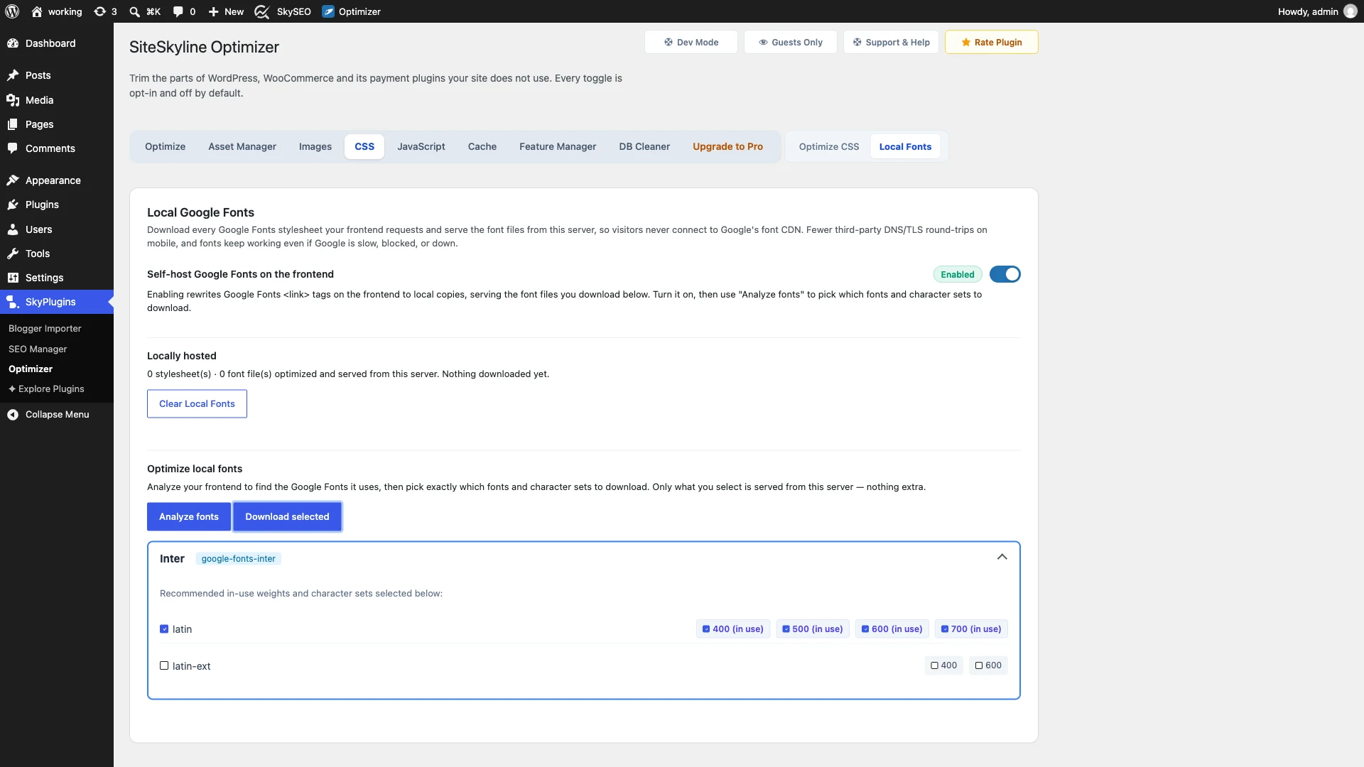 Download Selected Google Fonts Locally