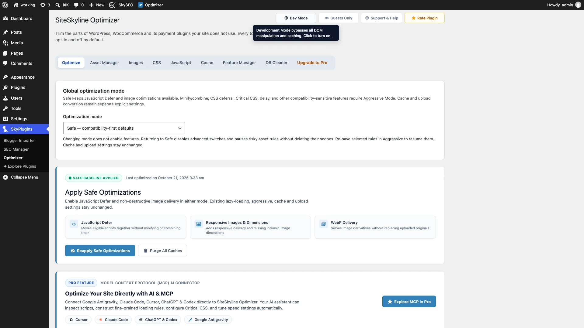 Dev Mode and Guests Only operational safeguards in SOptimizer