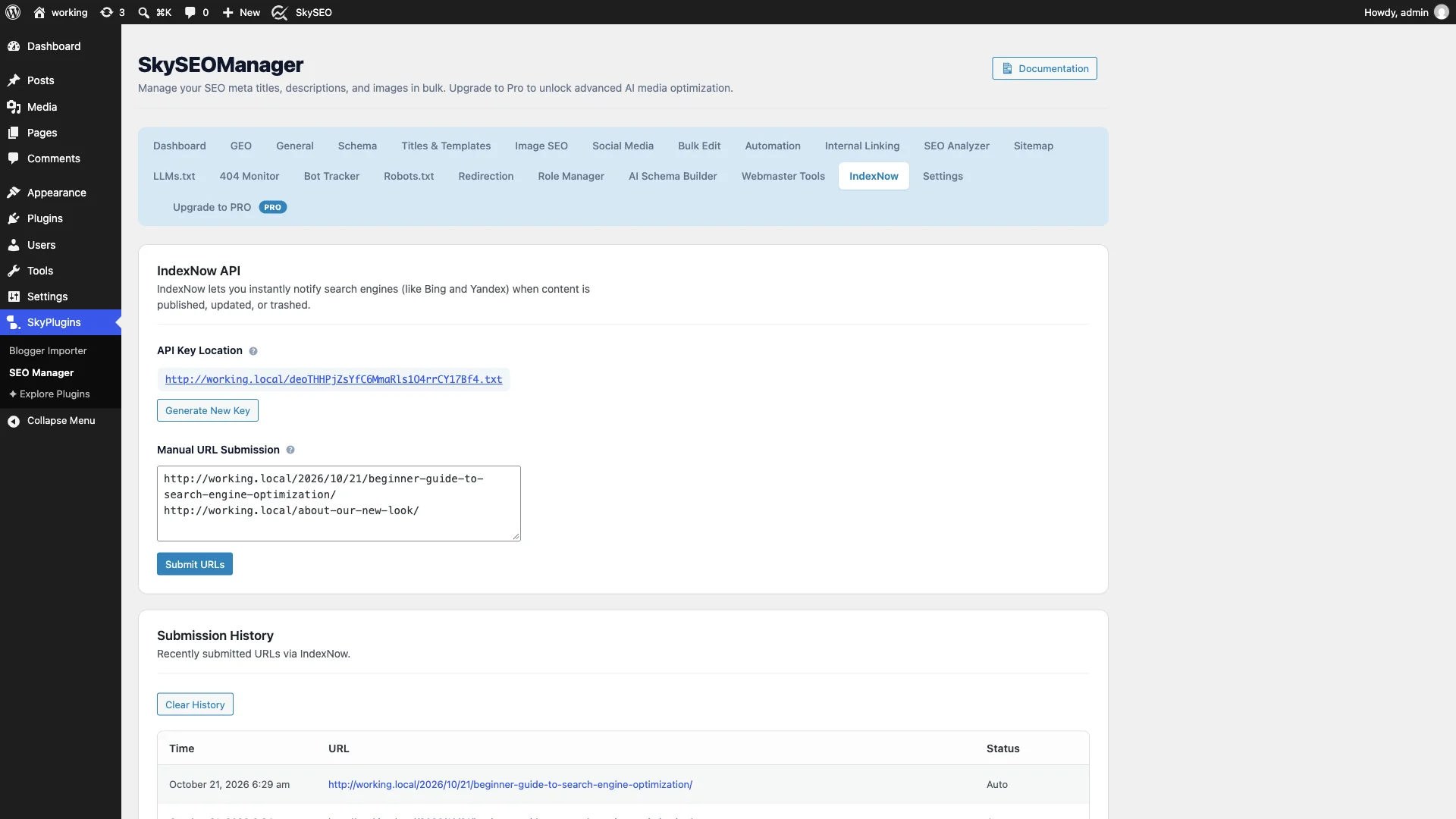 IndexNow dashboard showing auto-generated API key and manual URL submission