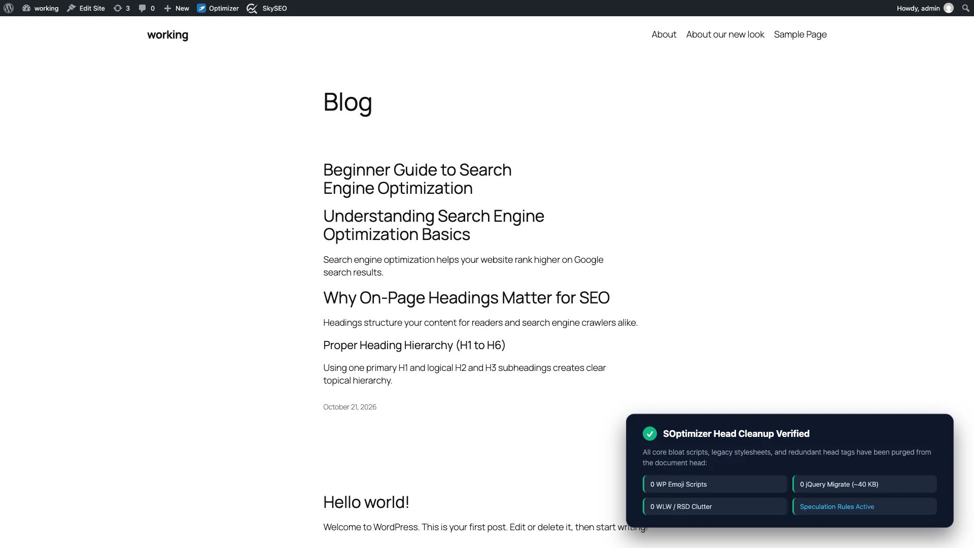 Clean Document Head and Frontend Verification