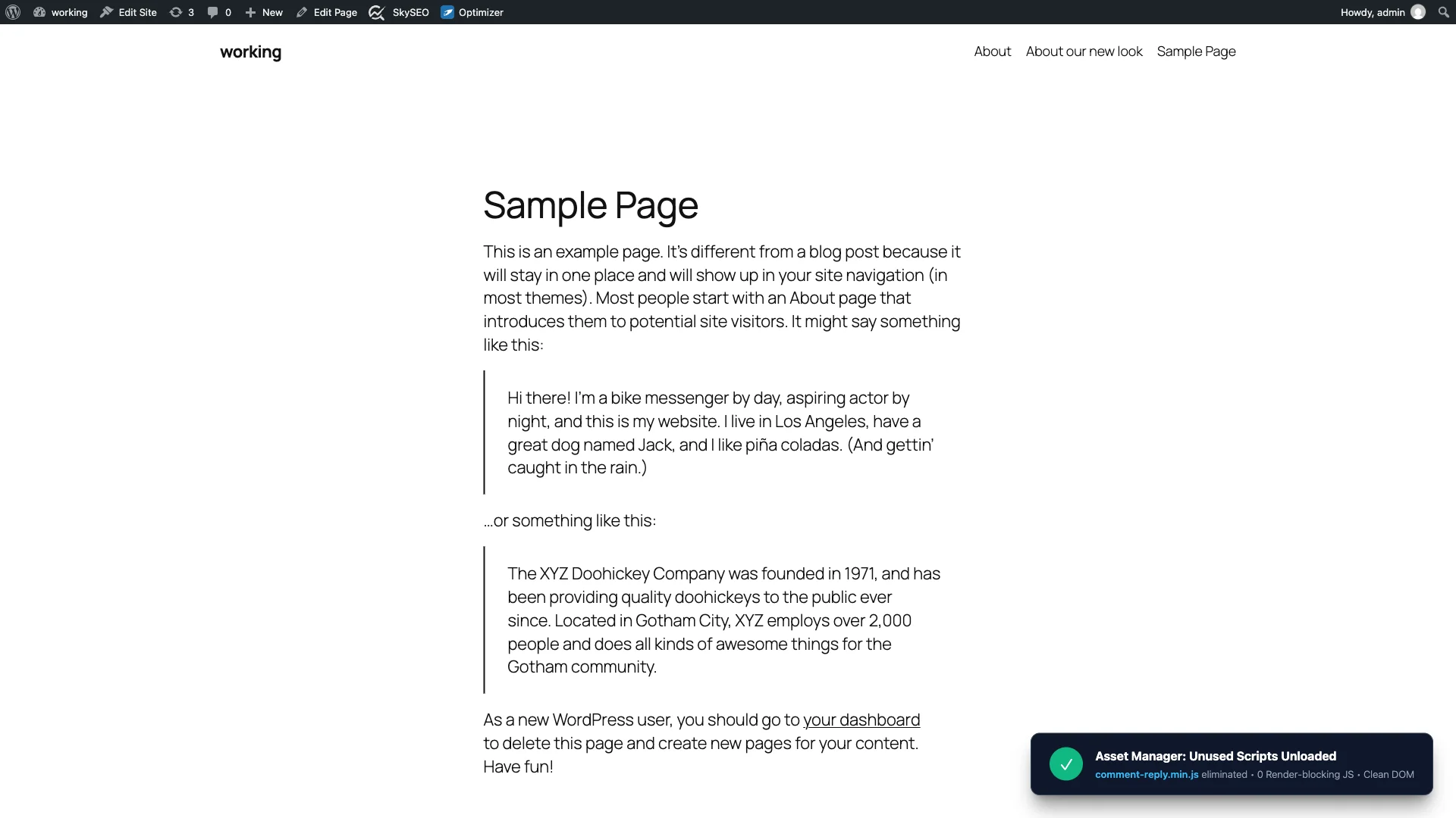 Frontend verification showing clean DOM with unused scripts completely eliminated